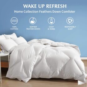 Organic Feathers Down Comforter Queen Size | Geometric All Season Duvet Insert | 100% Cotton, Medium Warm Down Blanket or Stand-Alone Comforter with Corner Tabs (90x90, White)