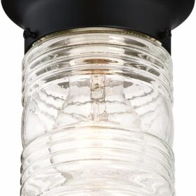 Jelly Jar 1-Light Indoor/Outdoor Flush Mount Ceiling Light, Black