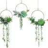 Artificial Succulents Wreath Set of 3 Hanging Gold Geometric Garland Greenery Wall Decor Backdrop